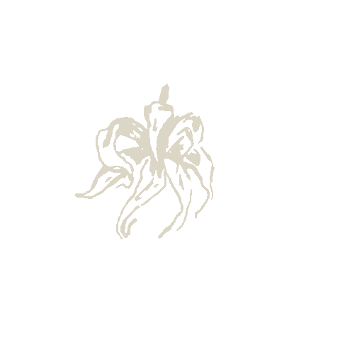 Flower Octopus Sticker by Kasa Suasa