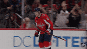 Washington Capitals Win GIF by NHL