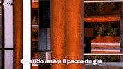 Antonino Cannavacciuolo Pacco GIF by Sky Italia