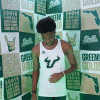 South Florida Horns Up GIF by USF Athletics