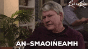 Gaeilge Good Idea GIF by Ros na Rún
