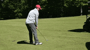 Golf Oops GIF by Skycomp Solutions Inc.