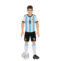 World Cup Football Sticker by Panini America