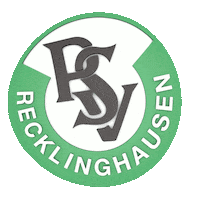 Logo Sticker Sticker by PSV Recklinghausen Handball