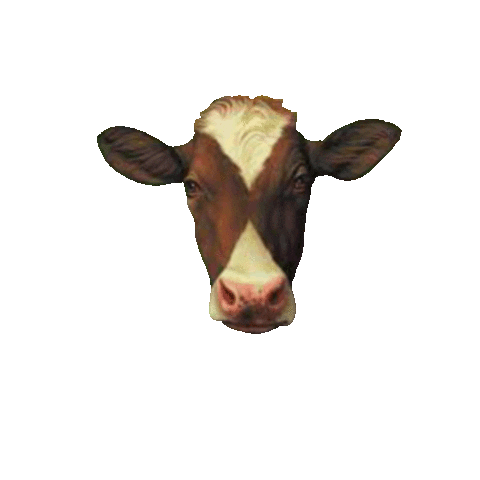 Wink Icecream Sticker by The Farmer's Cow Calfe & Creamery