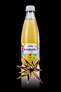 ekipahr croatia kombucha hrvatska booch GIF