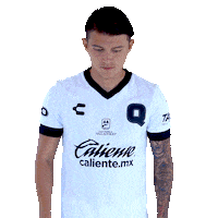 Liga Mx Gallos Sticker by Club Querétaro