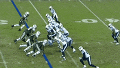 star york GIF