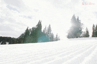 SkiBro skiing skibro GIF