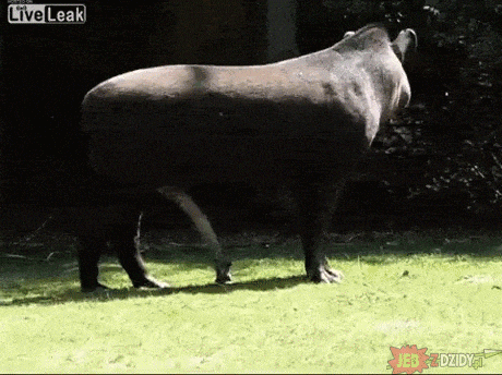 Mrw GIF