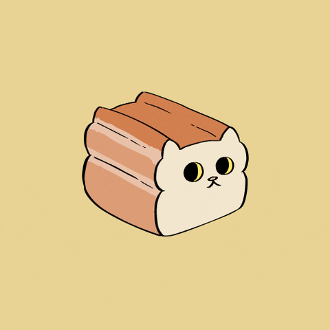 janicechun giphyupload cat kitty sliced bread GIF