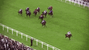 sir henry cecil champion GIF by World Horse Racing