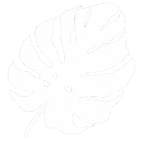 Leaf Leaves Sticker