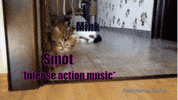 vi GIF