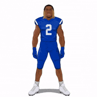 Wipe College Football GIF by Panini America