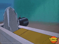 help me wtf GIF by Looney Tunes