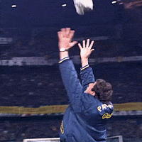 Goal Mister GIF by Parma Calcio 1913