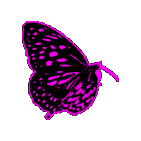 Mothers Day Mãe Sticker by CDL_SM