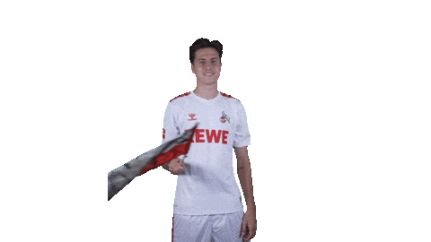 1 Fc Cologne Football Sticker by 1. FC Köln