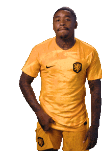 Fifaworldcup Bergwijn Sticker by OnsOranje