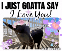 GoattaBeMe love hi animals i love you GIF