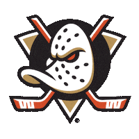 Happy Ice Hockey Sticker by NHL