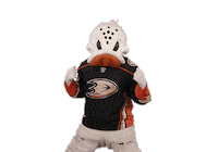 Ice Hockey Sticker by NHL