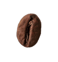 Coffee Bean Skull Sticker by Death Wish Coffee