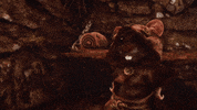 Mouse Sneezing GIF