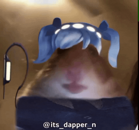 Its_dapper_n murder drones hamster meme murderdrones murder drone GIF