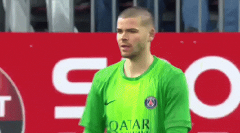 Paris Saint-Germain Psg GIF