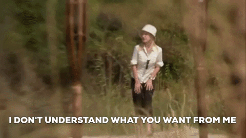 Beach Day Dont Understand GIF