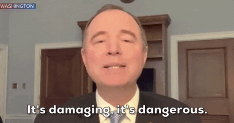 Adam Schiff GIF by GIPHY News