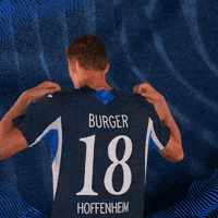 Sport Bundesliga GIF by TSG Hoffenheim