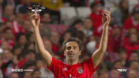 waving sl benfica GIF by Sport Lisboa e Benfica