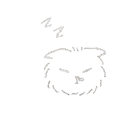 Cat Night Sticker