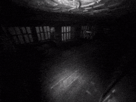 Art Loop GIF by SDRNSDRN