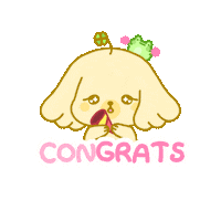 Bravo Congratulations Sticker