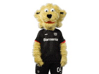 Bayer 04 Peace GIF by Bayer 04 Leverkusen