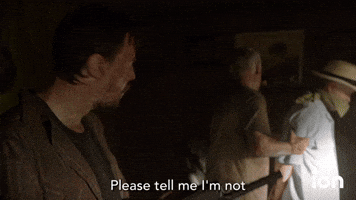 Please Tell Me I'm Not Hallucinating