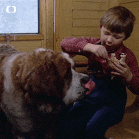 Dog Ceskatelevize GIF