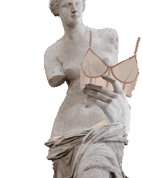 ZhilyovaLingeriePoland art fashion sexy mood Sticker