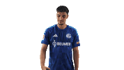Schalke 04 Football Sticker by Bundesliga