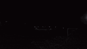 Track And Field Ncaa GIF by EKU Sports