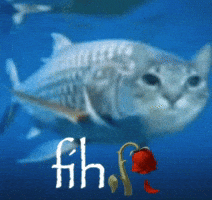 Cat Fish GIF