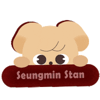 Stray Kids Stay Sticker