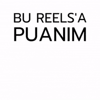 Reels Puanim GIF