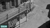 Black And White Film GIF by Turner Classic Movies