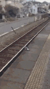 GIF by Demic