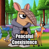 Wisdom Harmony GIF by Chillo Dillo